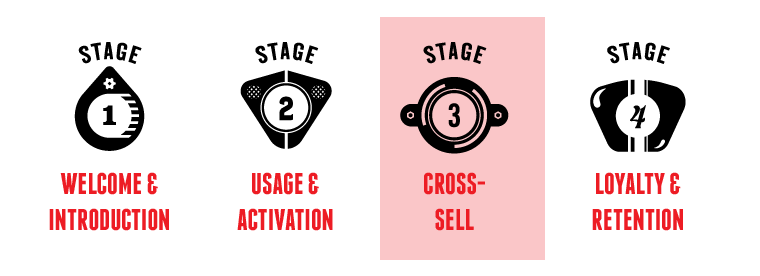 Stage 3 Image